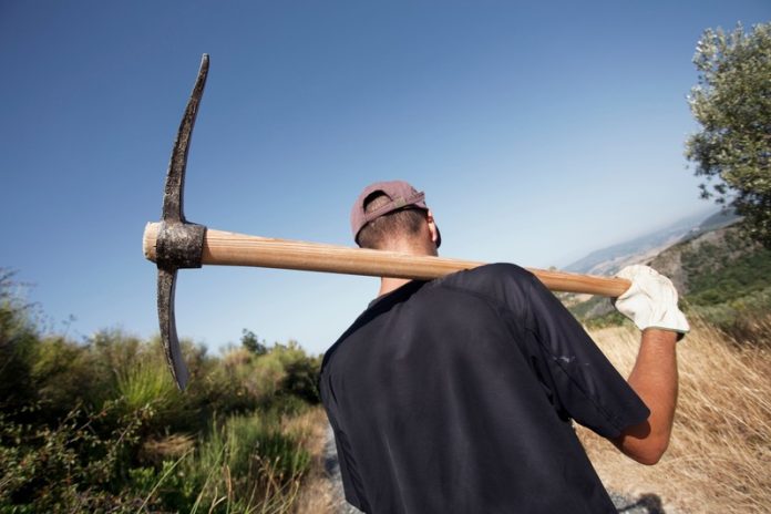 WWOOF ragazzo in campagna