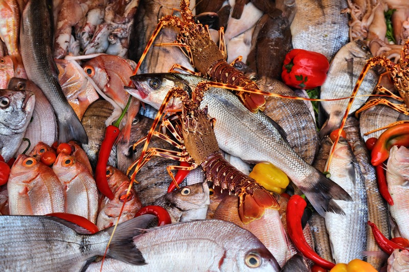 Essaouira mercato del pesce