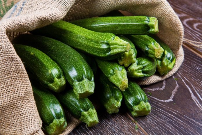 zucchine zucchine