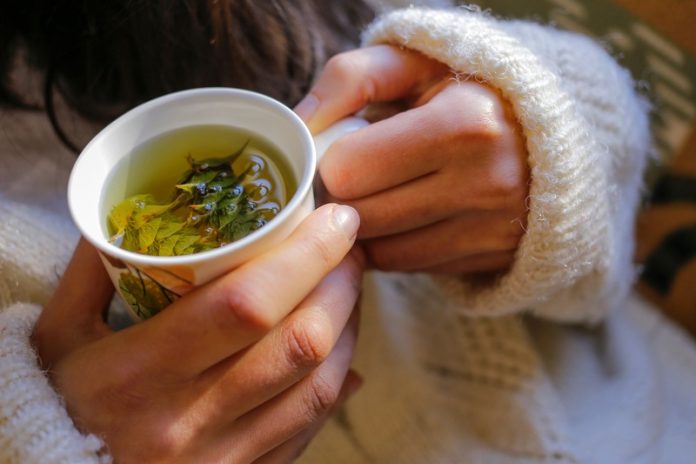tisana o infuso tisana o infuso in bicchiere di ceramica bianco tenuto da mani di donna con maglione bianco